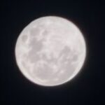 Profile photo of Justzri