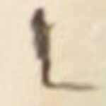 Profile photo of MDevan