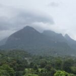 Profile photo of Stefan