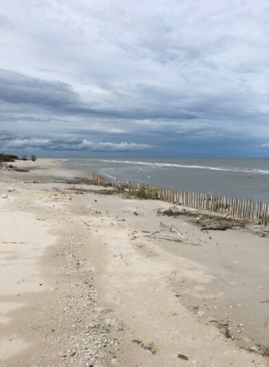 64658106_615180788993286_6153980126989123584_n