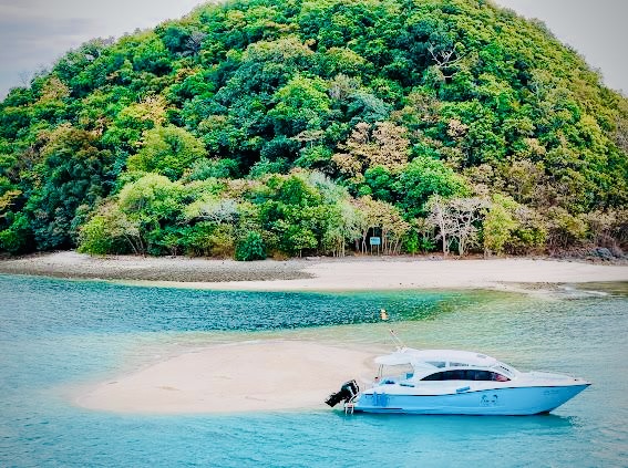 1aaf0f93-8c41-4614-9dcd-2987e502dfd1