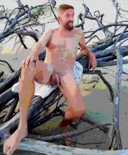 best beach 2 posterize