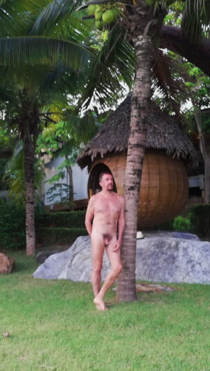 . . . . .palm tree cropped