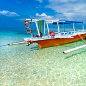 Group logo of Philippine Naturists